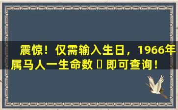 震惊！仅需输入生日，1966年属马人一生命数 ☘ 即可查询！